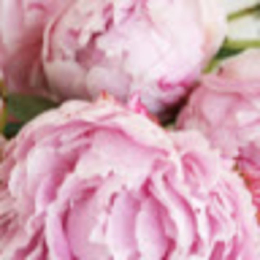 Meet your Posher, Kathleen